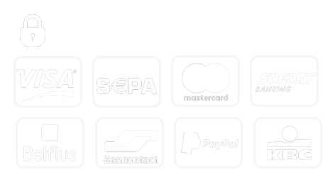 100% secure payment